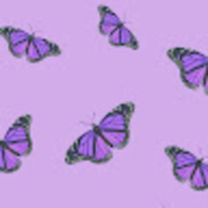 Meet your Posher, Ella